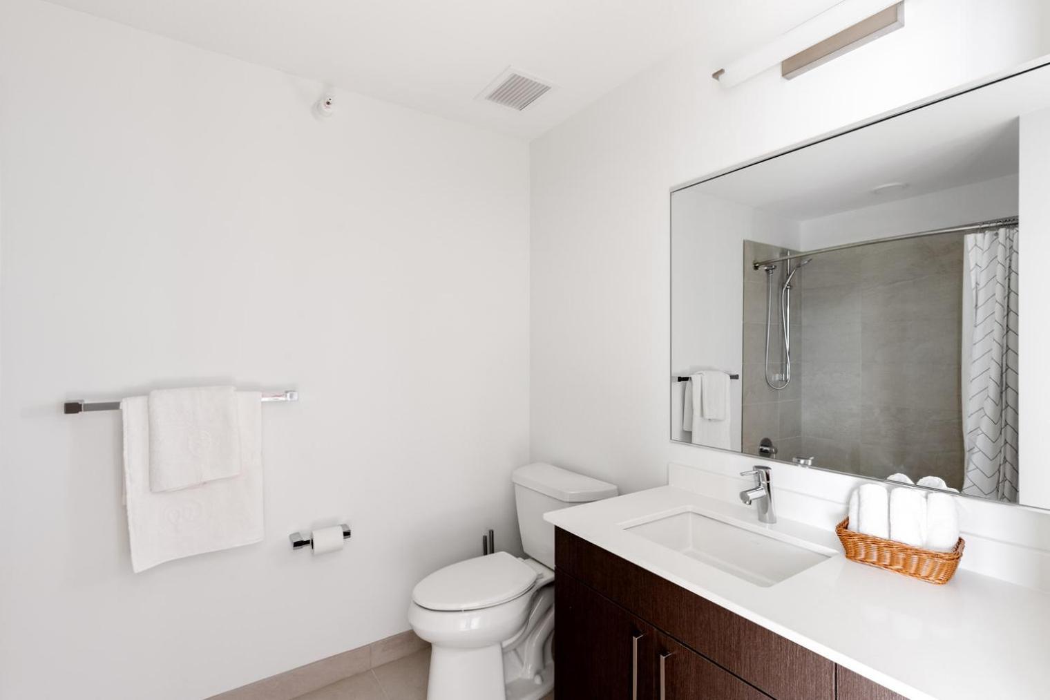 S Loop W Gym Pool Wd Nr The L Chi-185 Apartment Chicago