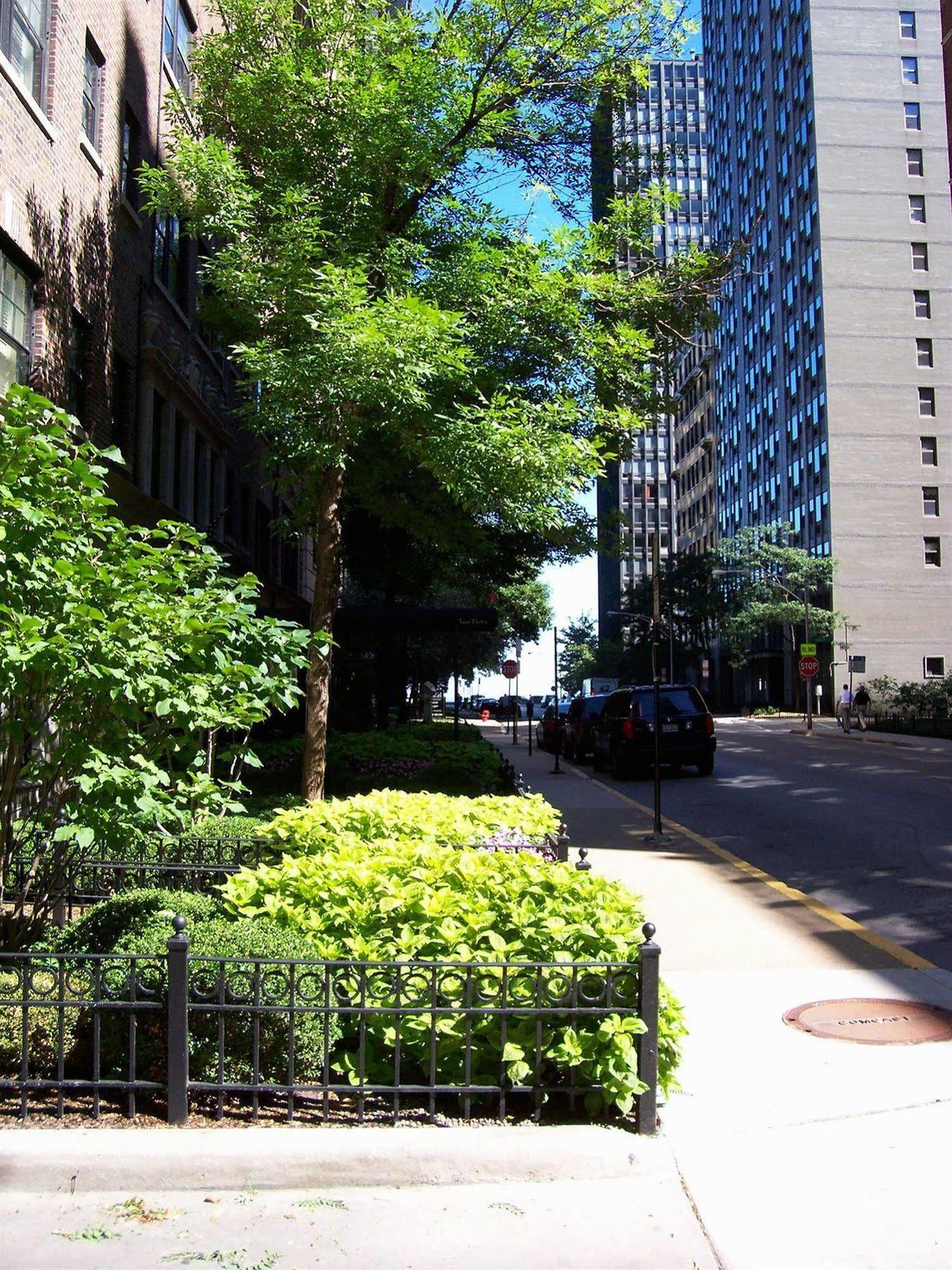 Hotel Dewitt And Chicago
