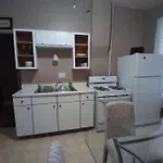 Loop Apartment