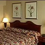 Radisson Hotel O\'Hare