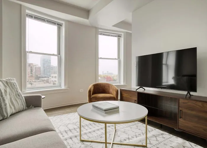 South Loop 1Br Nr L Grant Park Chi-806
