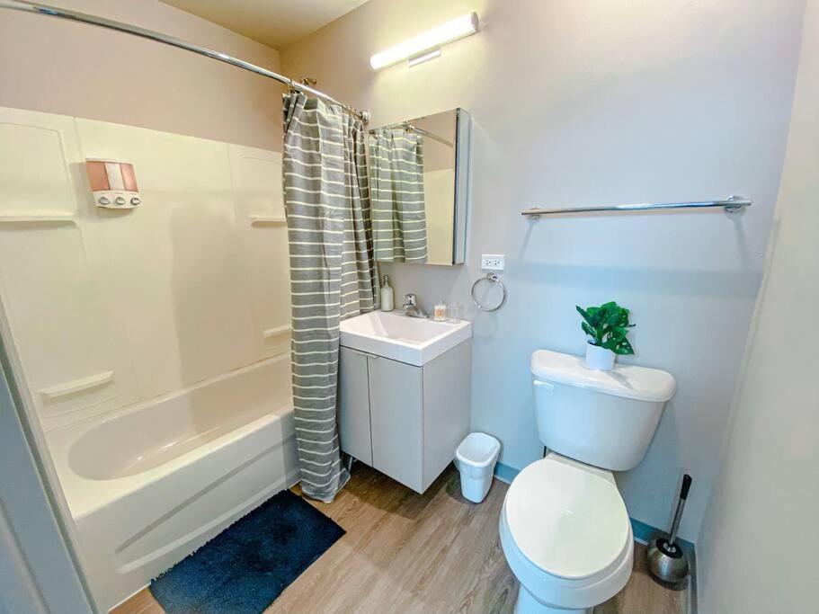 Modern 2br In South Loop Near Soldier Field, Grant Park, Downtown, & Lakefront Trail *