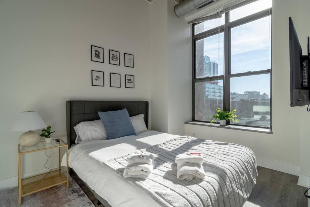 Mccormick Place Beautiful 2br With Optional Parking Sleeps Up To 8 Near Soldier Field, Grant Park And Lakefront Trail Apartamento Chicago