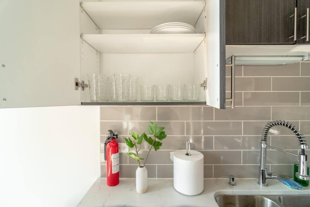 Apartamento Mccormick Place Beautiful 2br With Optional Parking Sleeps Up To 8 Near Soldier Field, Grant Park And Lakefront Trail Chicago