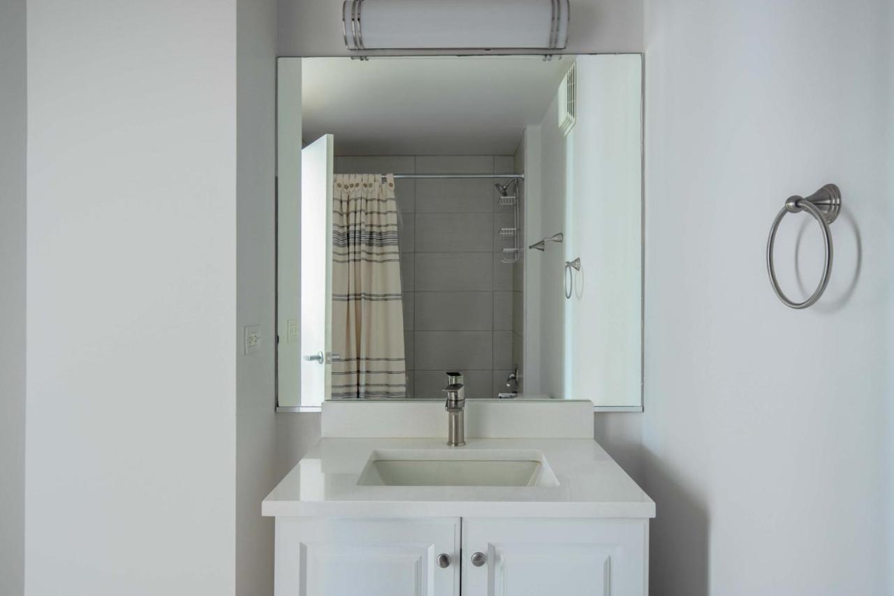 South Loop 1br Nr L Grant Park Chi-805