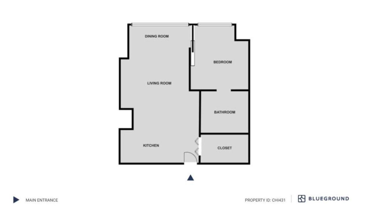 S Loop 1br W Pool Gym Roof 1 Block To L Chi-431 Apartment