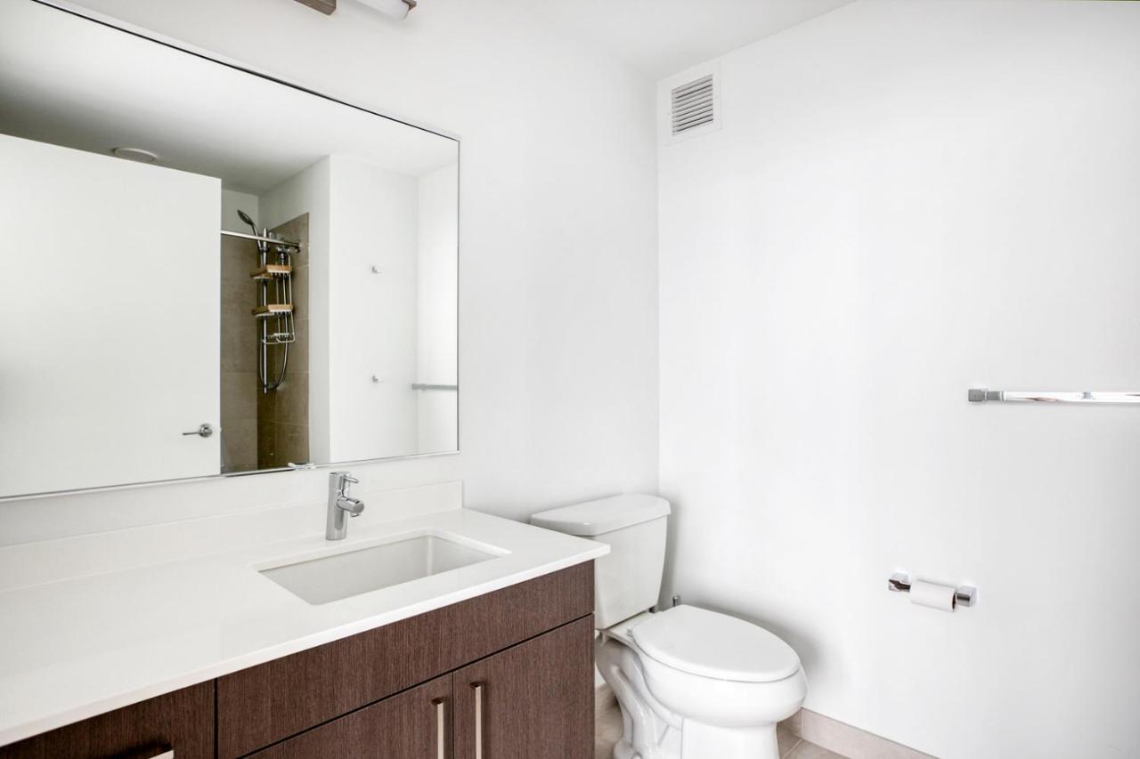 S Loop 1br W Pool Gym Roof 1 Block To L Chi-431