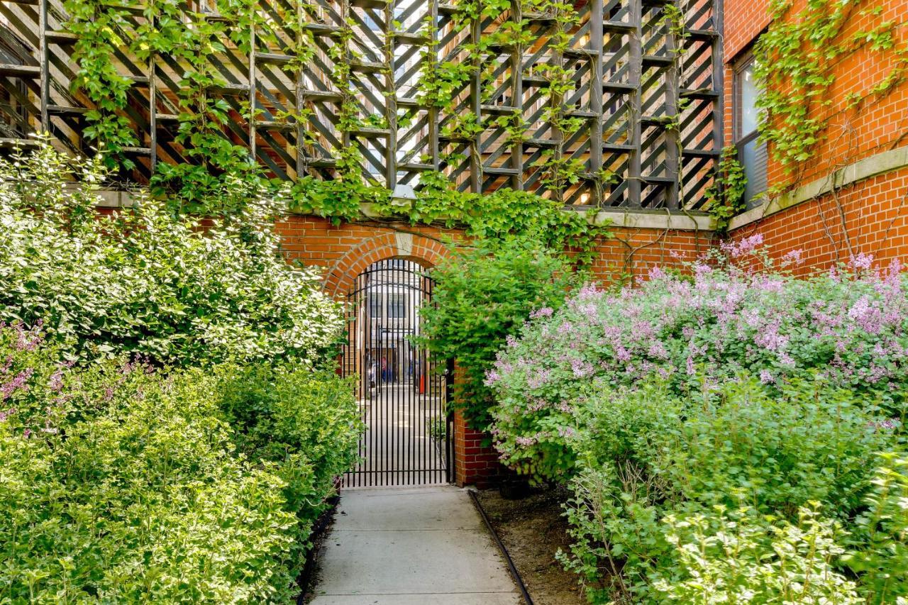 Pet-friendly Urban Vacation Chicago