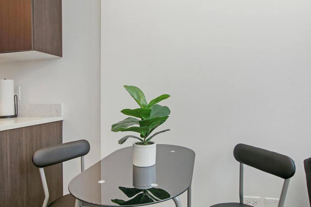 Apartment 1br Adorable Apt With In-unit Laundry - 206