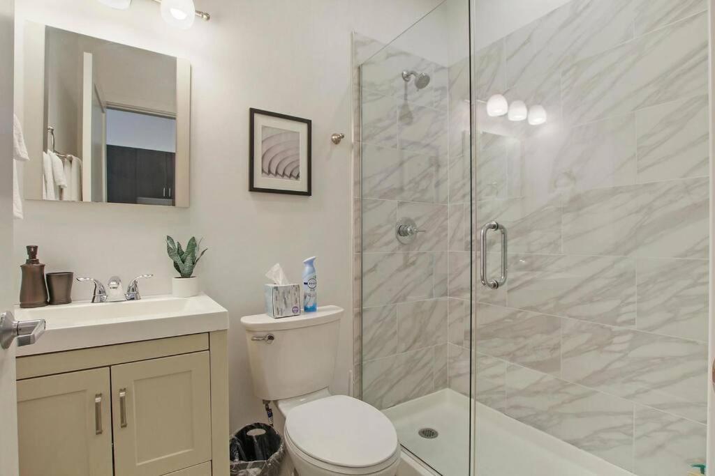 1br Adorable Apt With In-unit Laundry - 206 Apartment Chicago