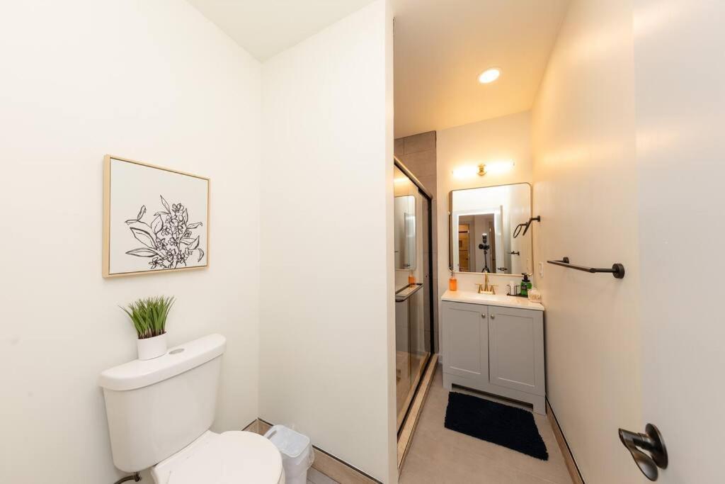 Spacious 5br Luxury Perfect For Group Sleeps 12 Near Mccormick Place, Grant Park And Soldier Field Chicago