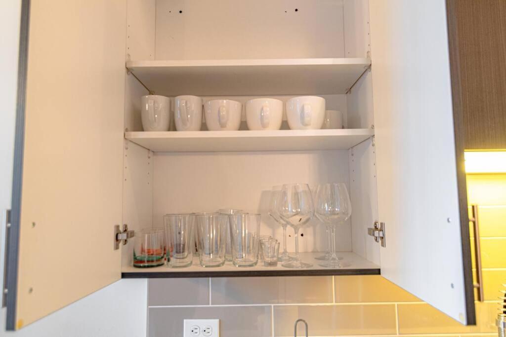 Stylish 2br With Optional Parking & Gym Access Near Lakefront, Shedd Aquarium And Mccormick Center Apartment Chicago