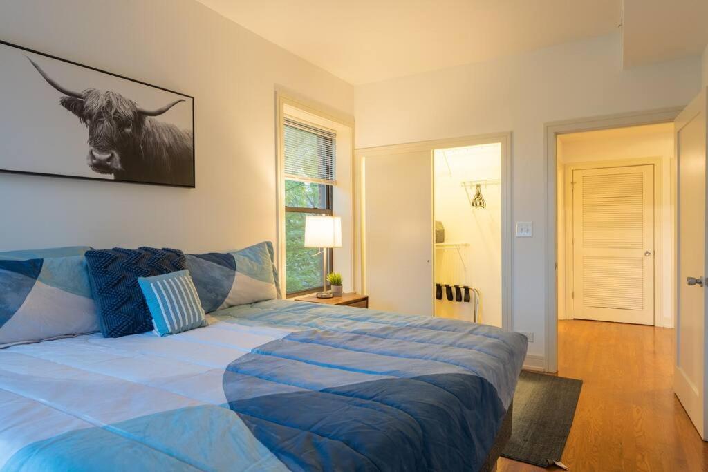3br Prime Hyde Park Location Near Uchicago And Dining Apartment