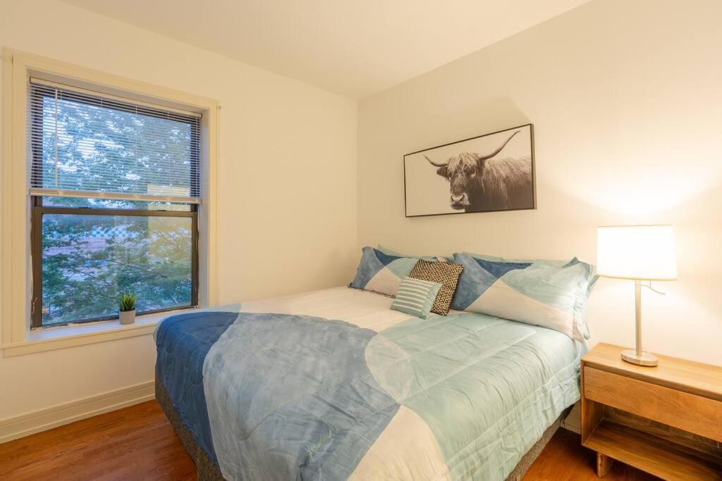 Apartment 3br Prime Hyde Park Location Near Uchicago And Dining