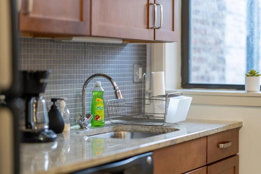 3br Prime Hyde Park Location Near Uchicago And Dining Apartment Chicago