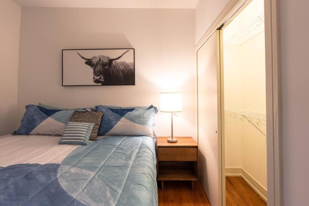 3br Prime Hyde Park Location Near Uchicago And Dining Apartment Chicago
