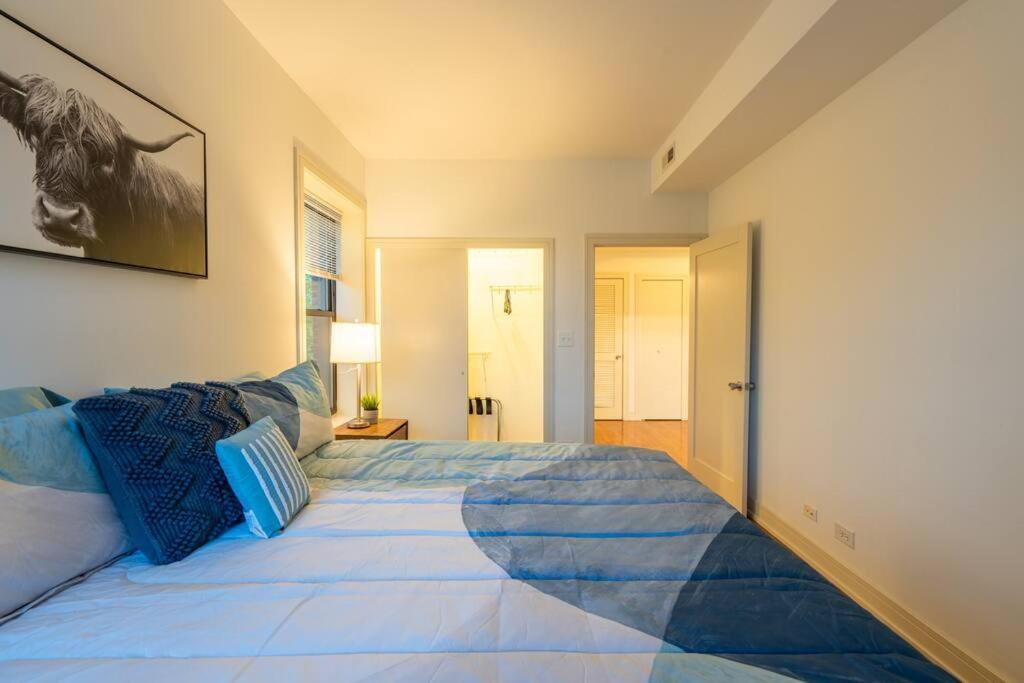 Apartment 3br Prime Hyde Park Location Near Uchicago And Dining Chicago