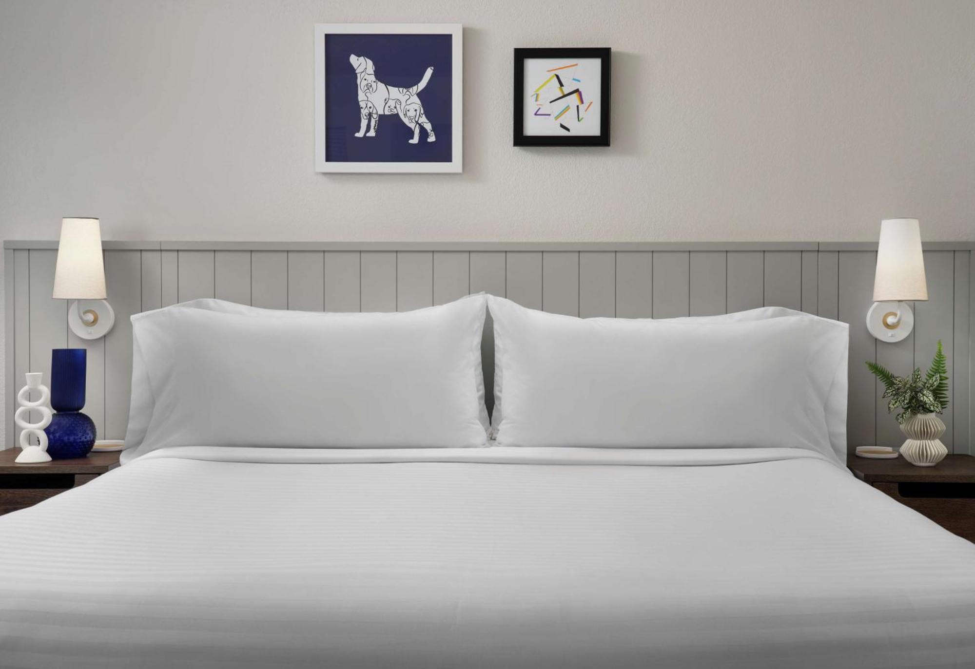 Hotel Sonesta Es Downtown Magnificent Mile Medical