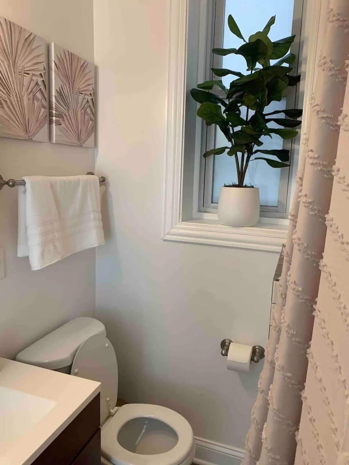 Tropical Boho Oasis Apartment Chicago
