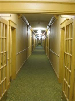 Hotel The Willows