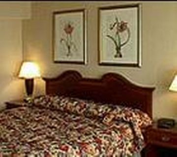 Radisson O'hare Chicago