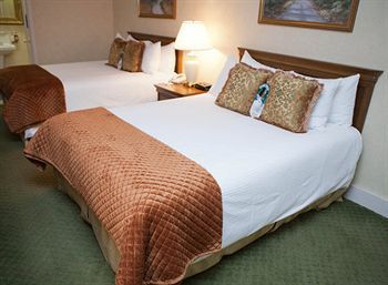 The Willows Hotel