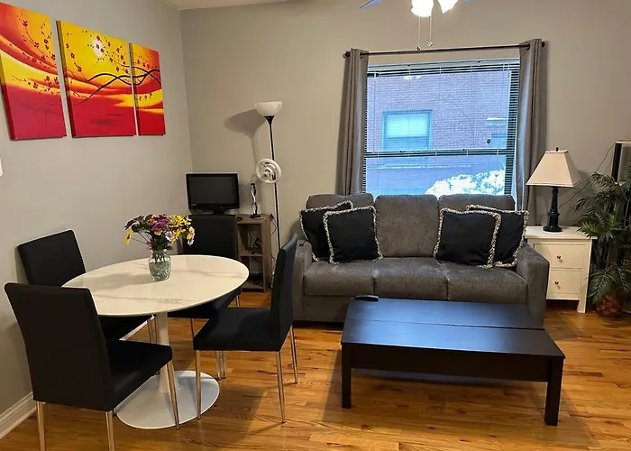 Entire Apt In Heart Of Chicago