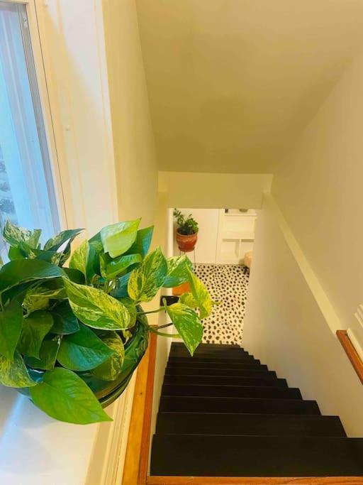 Apartamento Private Garden Unit 1br/1ba Chicago