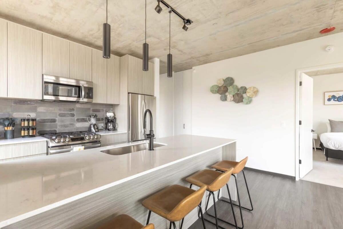 2br Chic New With Rooftop Pool & Gym Apartment Chicago