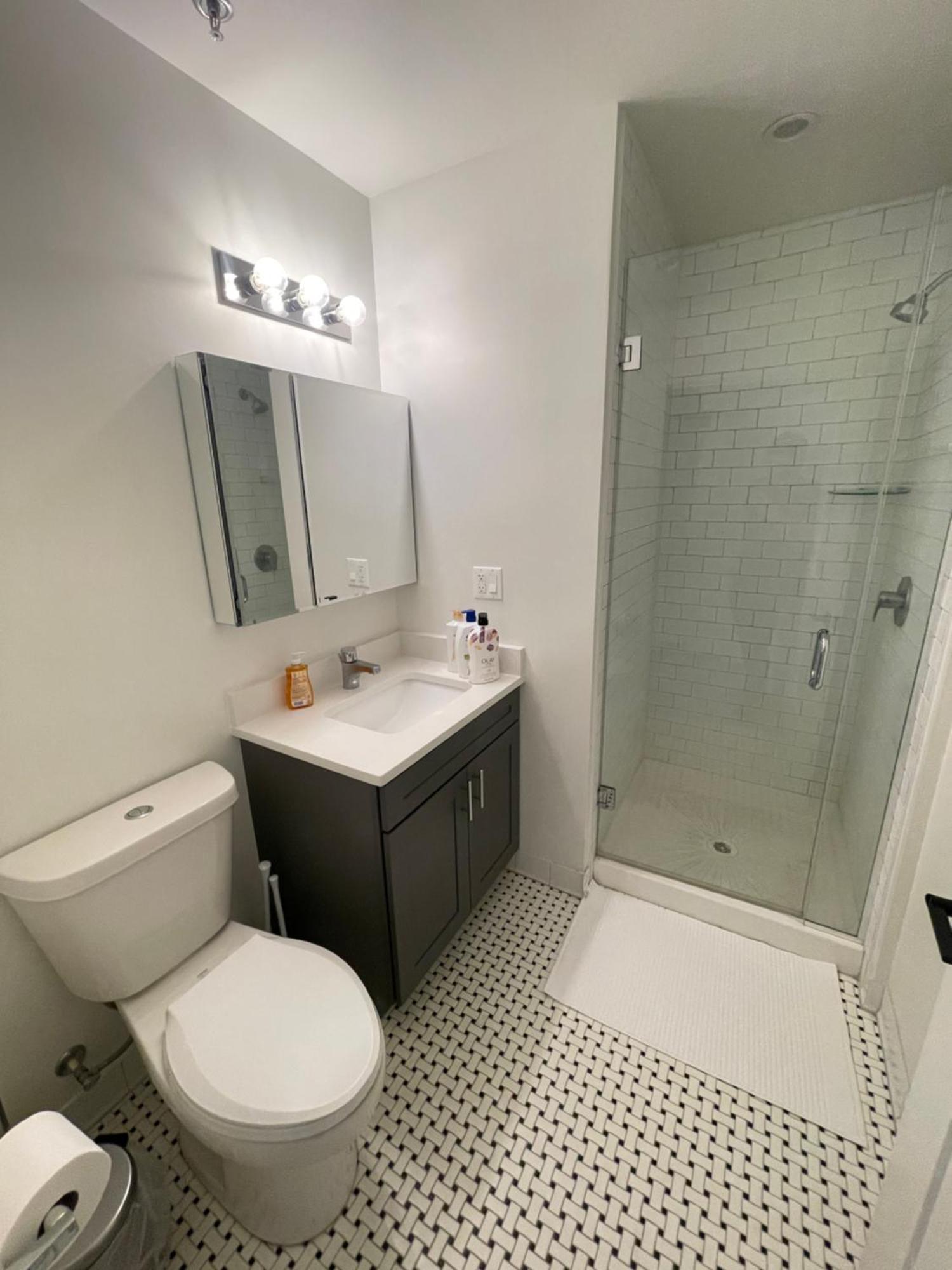 Guest house Stylish Shared Minutes From Downtown Chicago, 1bedroom And Shared Access *