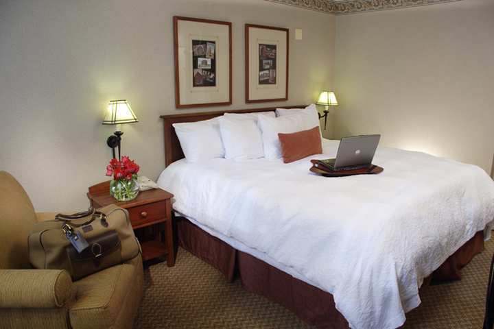 Hotel Hampton & Chicago-downtown 3*