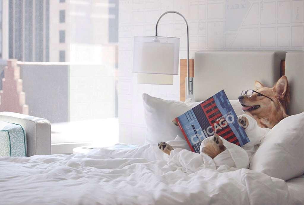 Hotel Kinzie