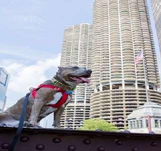 Kinzie Hotel