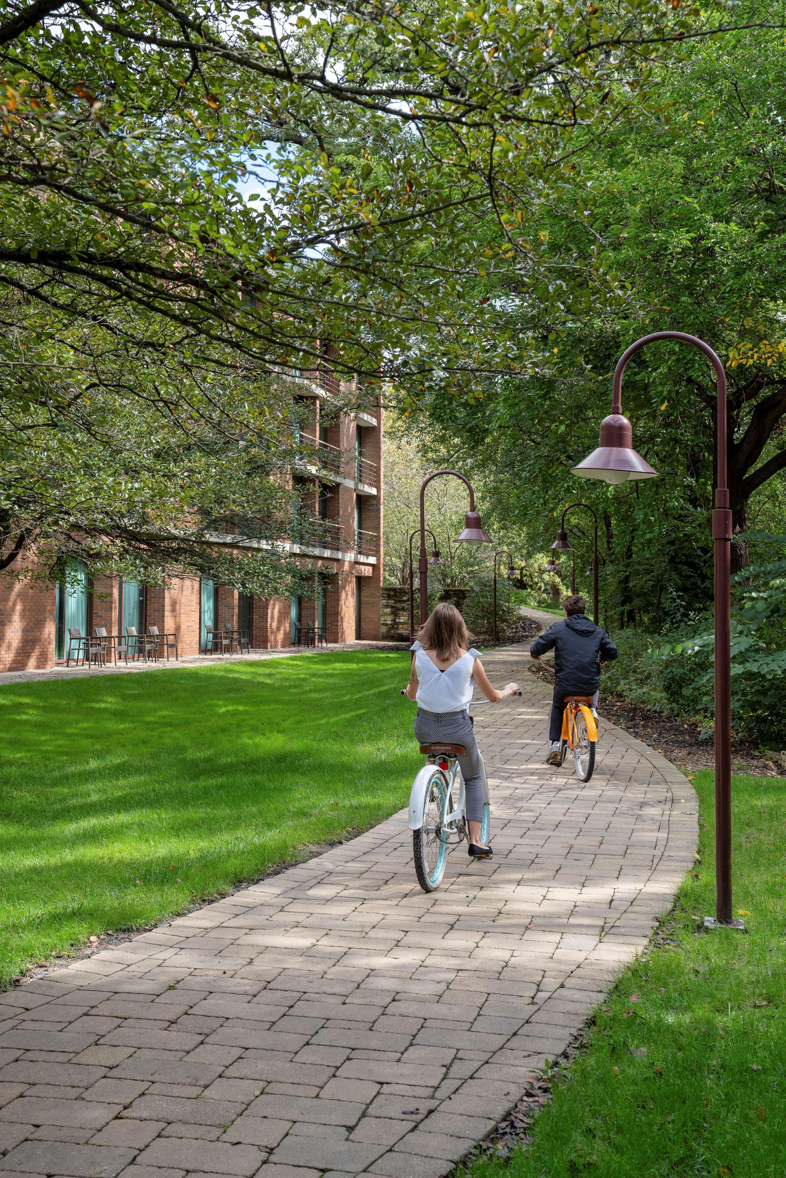 Hampton Downtown/n Loop/michigan Ave 3*