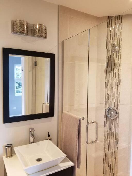 Apartment Nice And Cozy. Sleeps 5. Chicago