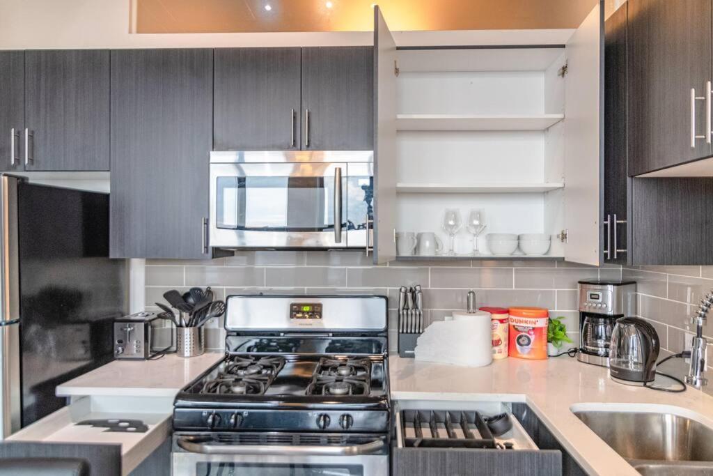 2br South Loop Location With Optional Parking & Gym Access Near Mccormick Place, Shedd Aquarium & Navy Pier Apartment