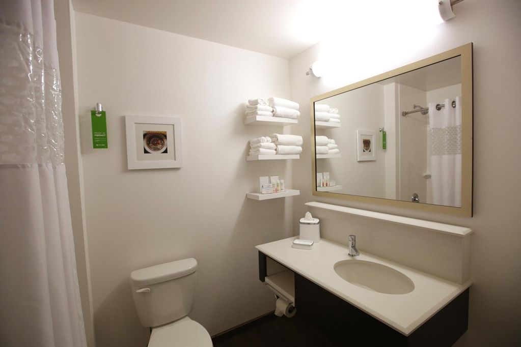 Hampton Downtown/n Loop/michigan Ave 3* Chicago