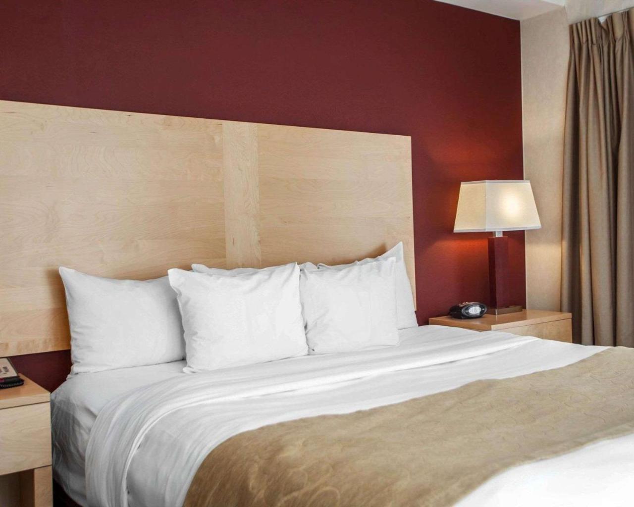 Comfort Michigan Avenue Hotel Chicago